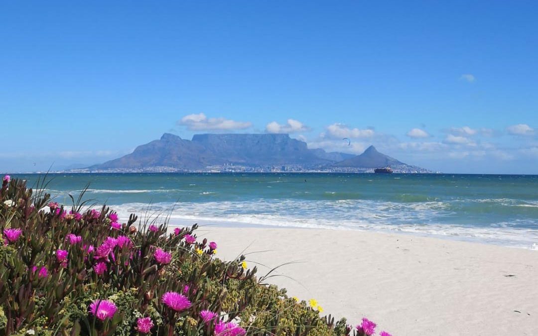 Planning Your Trip to South Africa